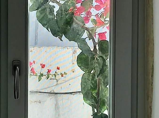 بيت للعطل Tristrato *